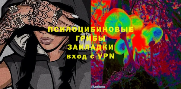 альфа пвп Горнозаводск