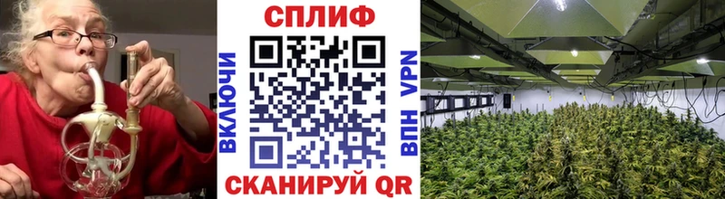 Бошки Шишки White Widow  Купить закладки  Невельск 